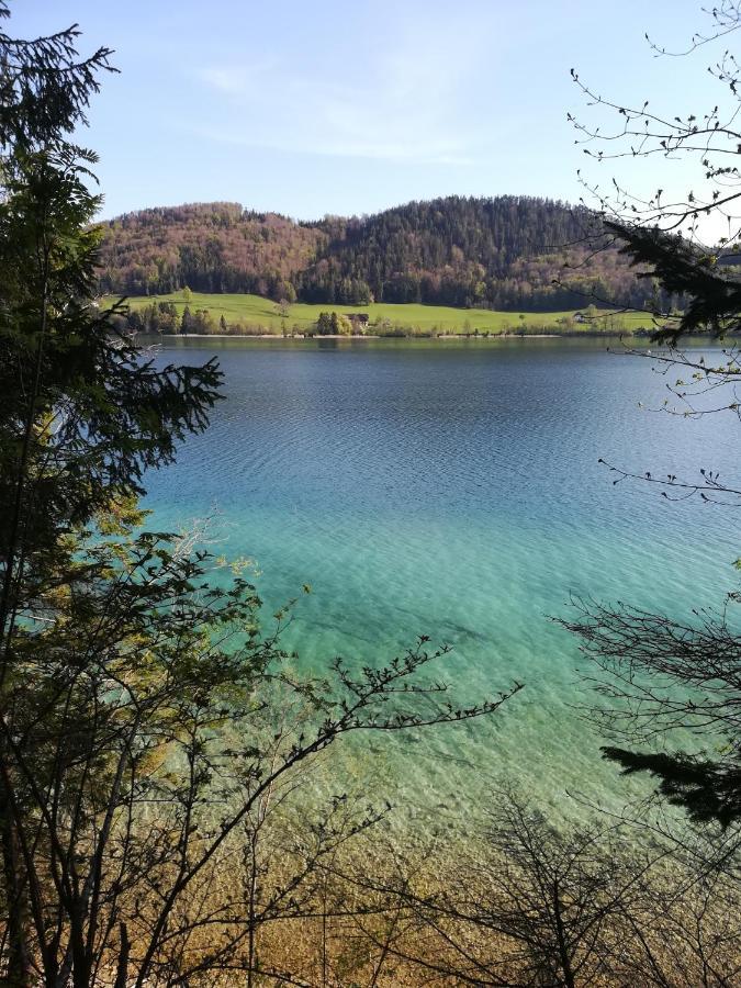 Appartementhaus Grill Штробль Екстер'єр фото