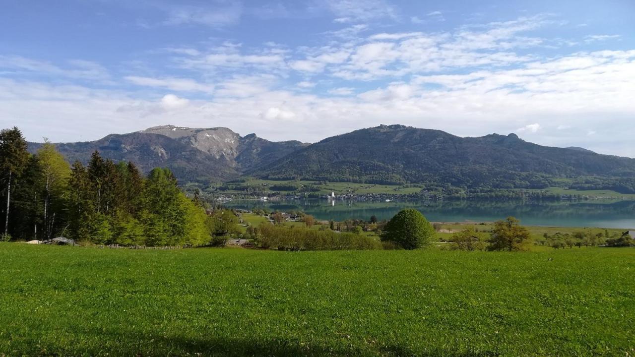 Appartementhaus Grill Штробль Екстер'єр фото